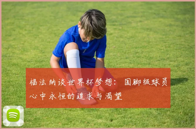 福法纳谈世界杯梦想：国脚级球员心中永恒的追求与渴望